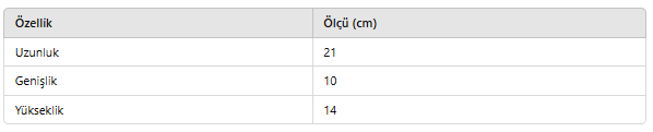 KADIN ECH100 DERİ ÇANTA