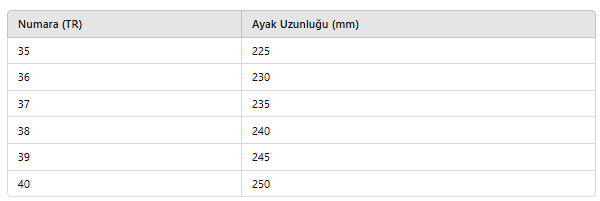 KADIN EBK1006 AYAKKABI