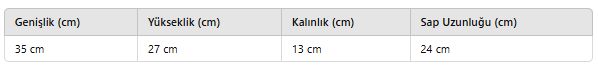 KADIN ECH119 PUL DESEN ÇANTA